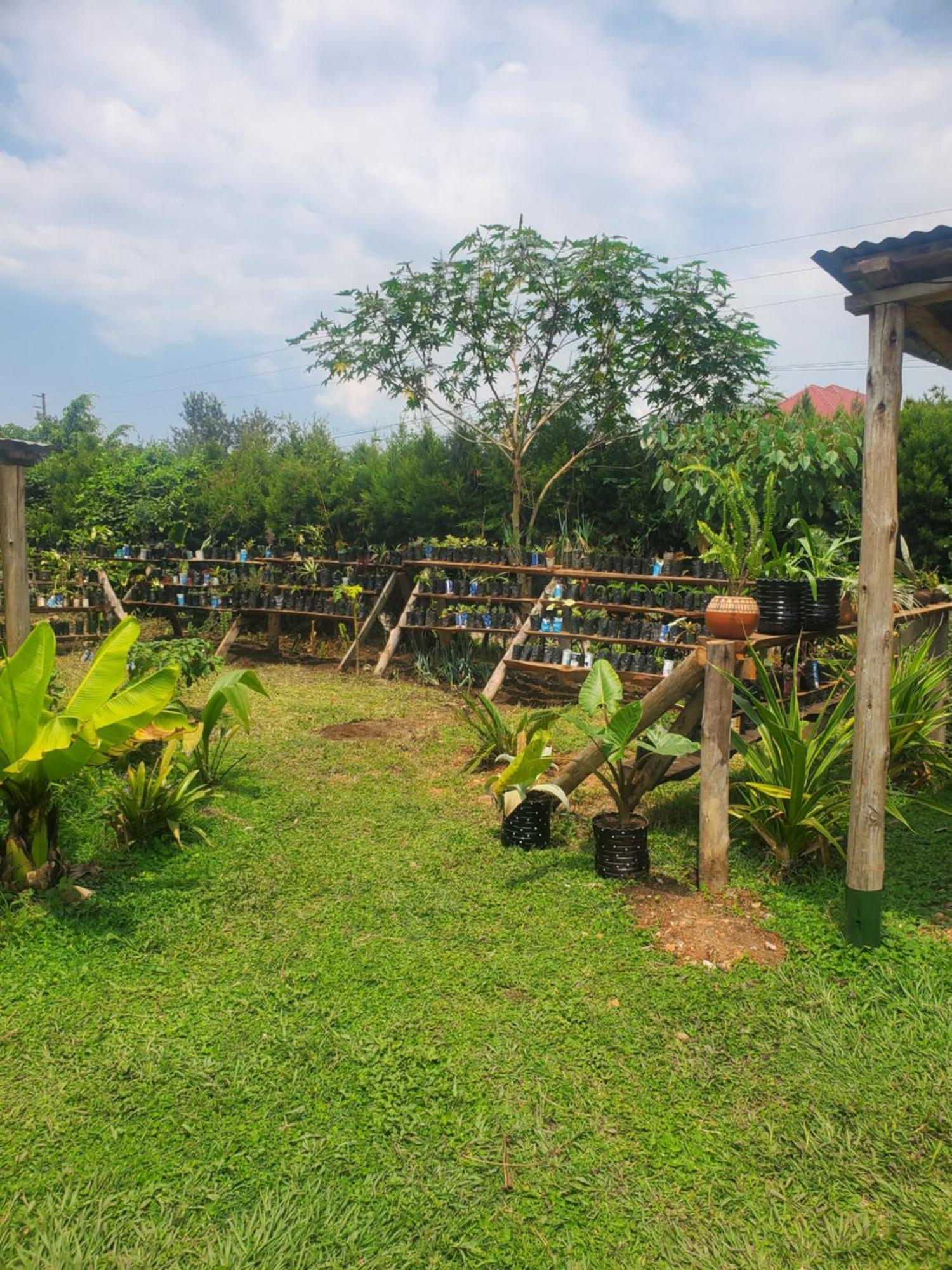 Gaia Eco Hub Bnb Fort Portal ภายนอก รูปภาพ