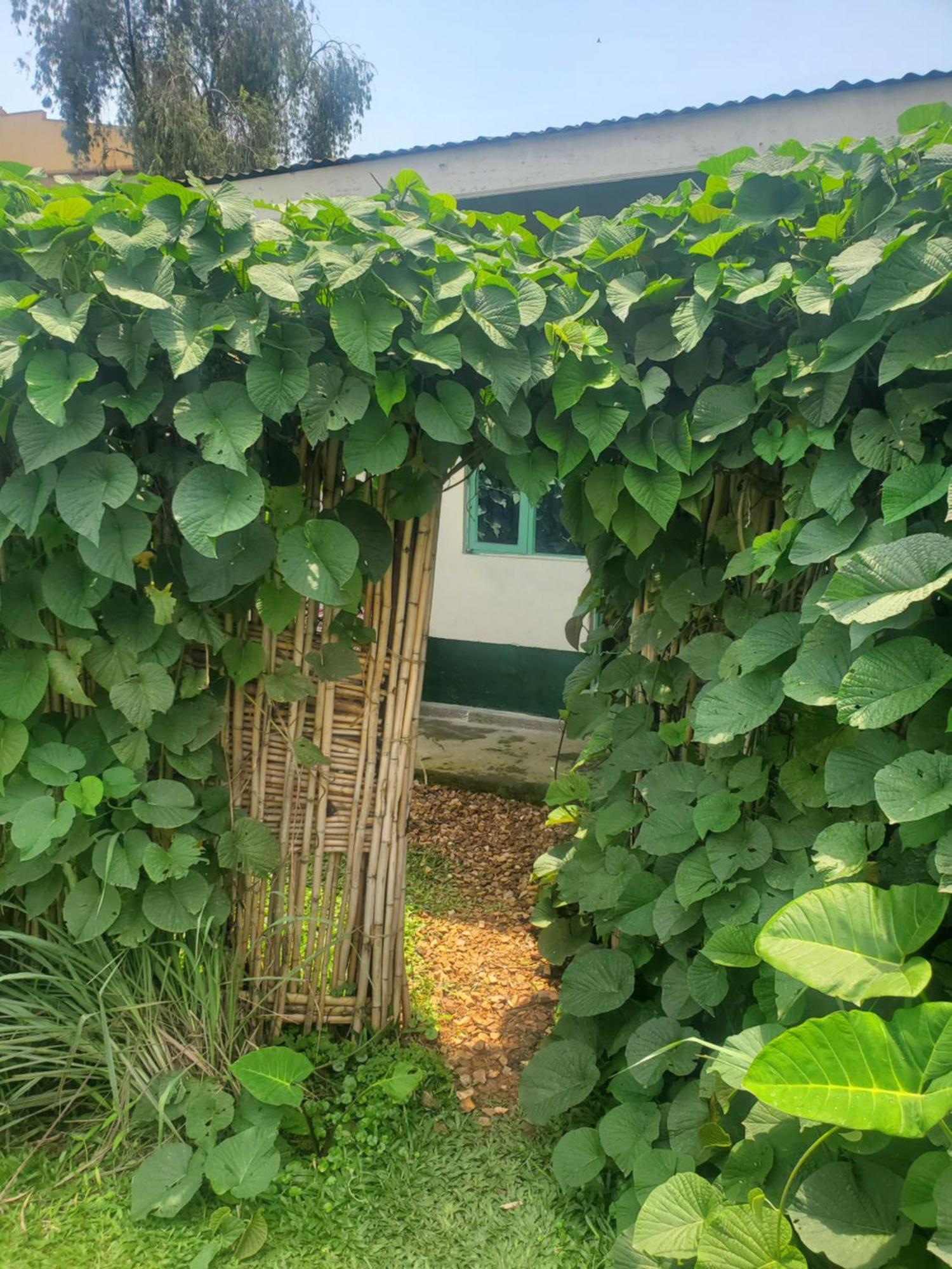 Gaia Eco Hub Bnb Fort Portal ภายนอก รูปภาพ