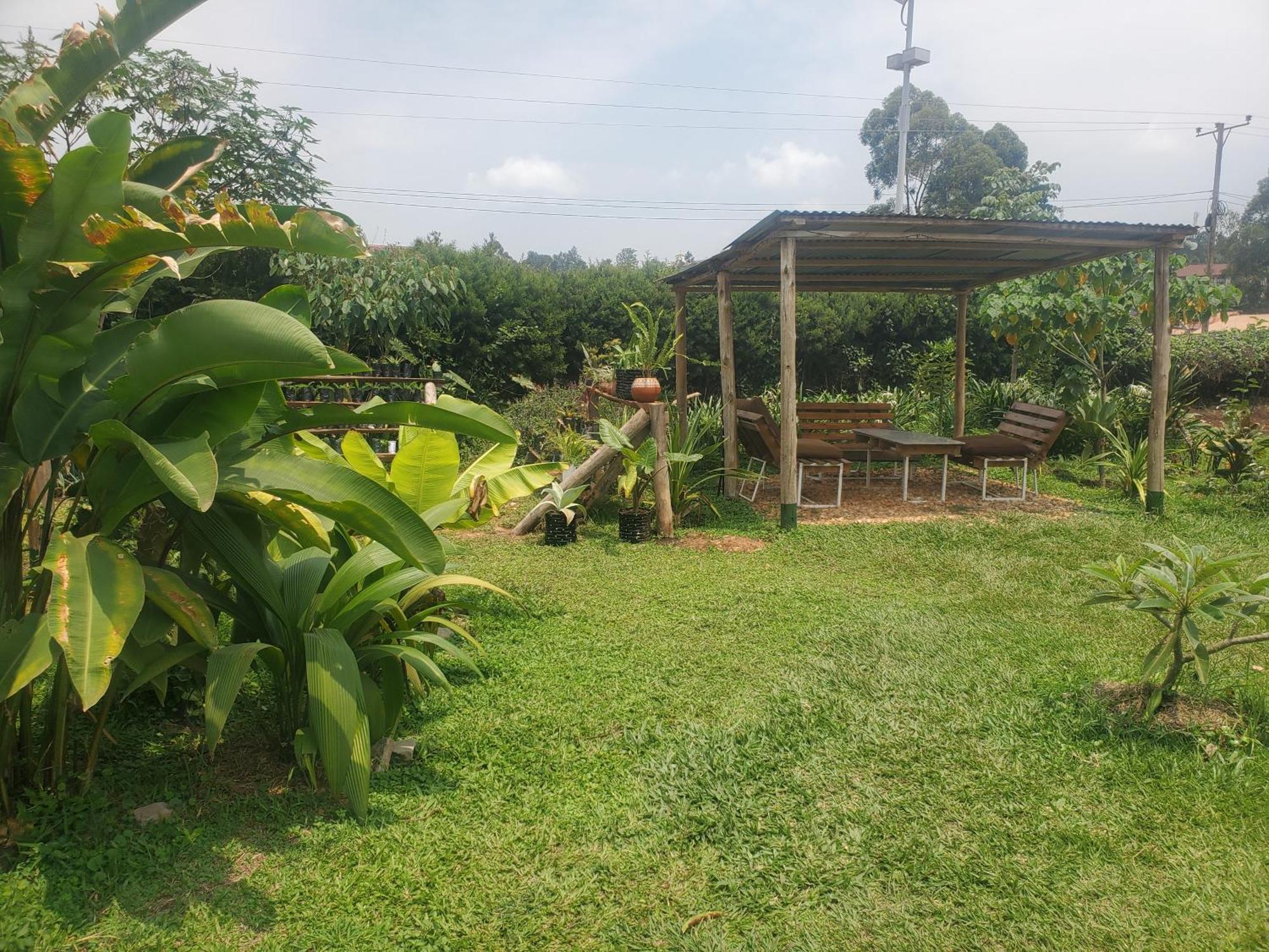 Gaia Eco Hub Bnb Fort Portal ภายนอก รูปภาพ