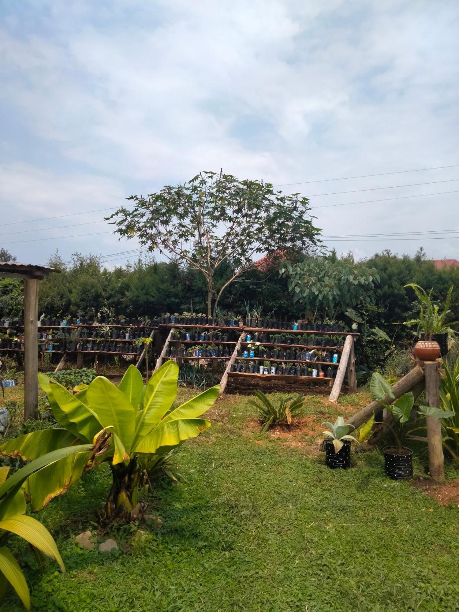 Gaia Eco Hub Bnb Fort Portal ภายนอก รูปภาพ