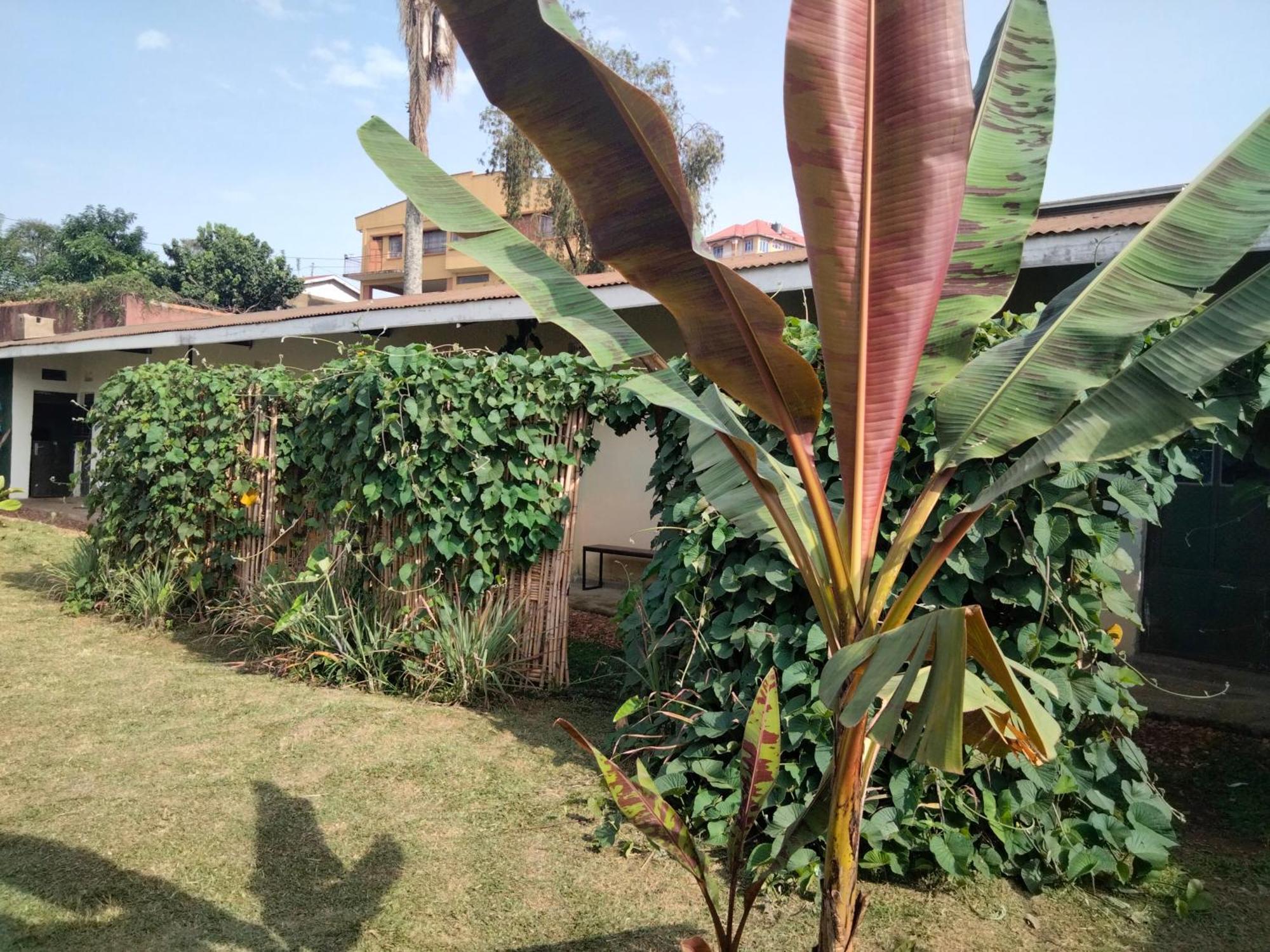 Gaia Eco Hub Bnb Fort Portal ภายนอก รูปภาพ