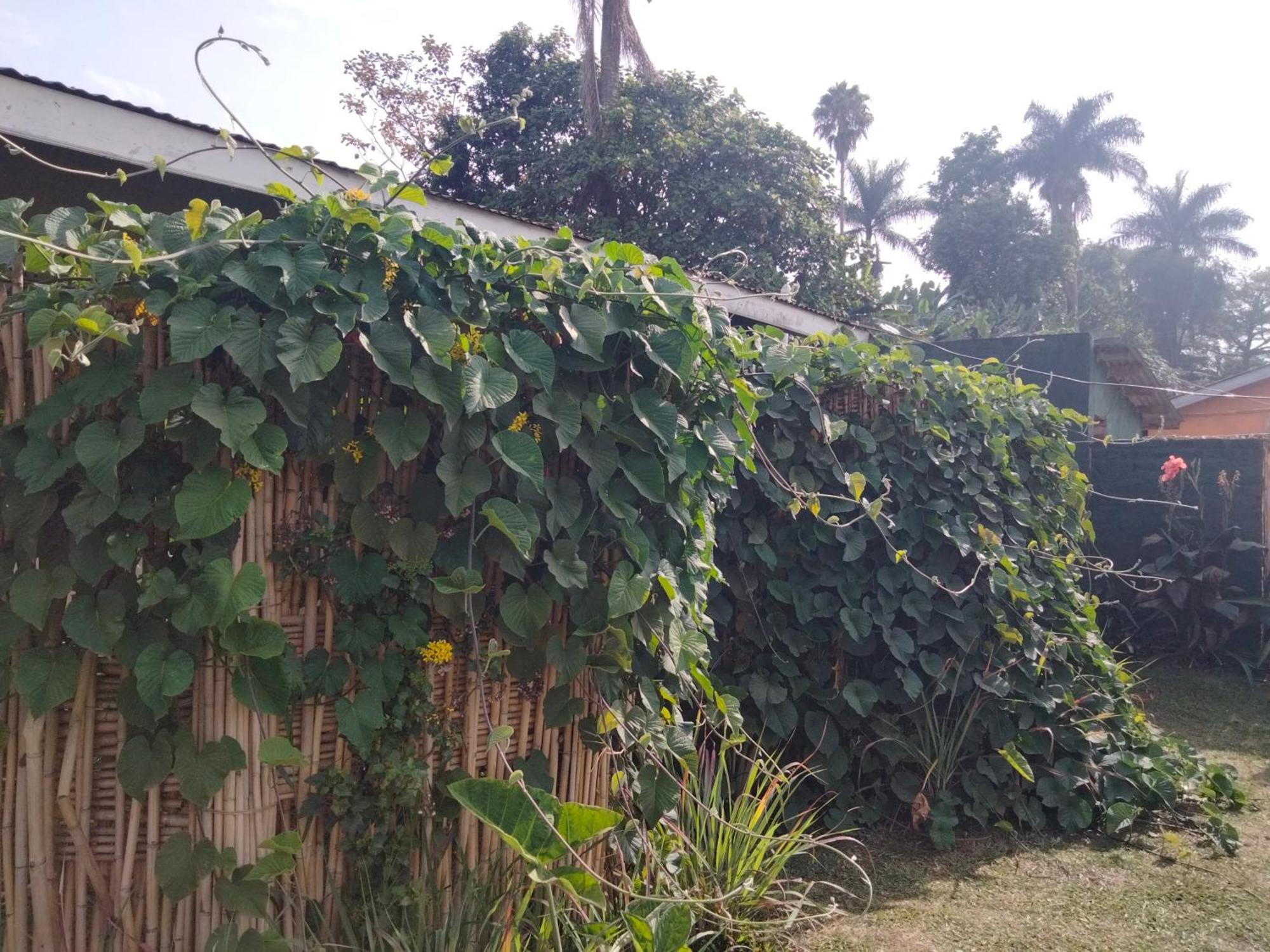 Gaia Eco Hub Bnb Fort Portal ภายนอก รูปภาพ