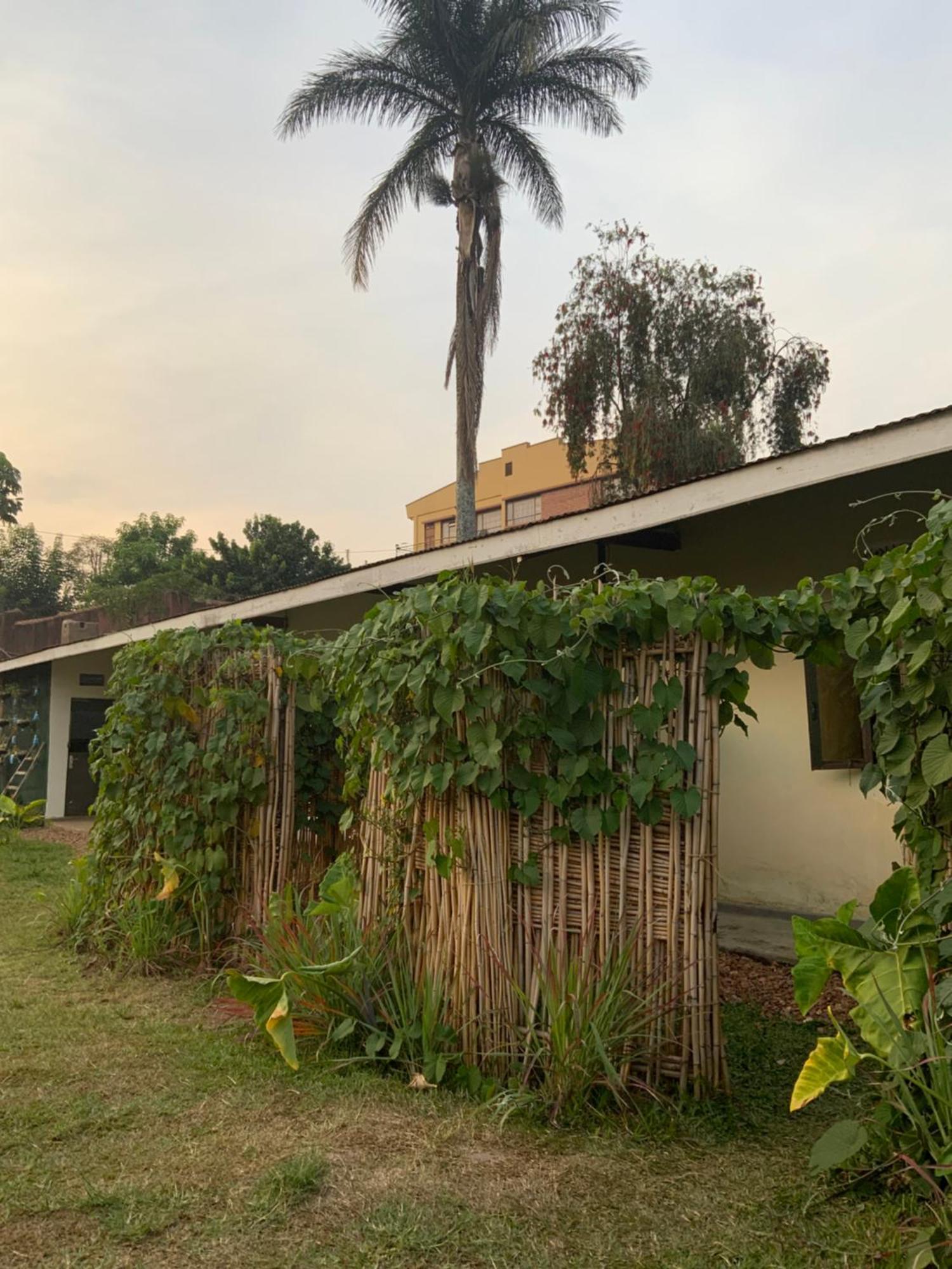 Gaia Eco Hub Bnb Fort Portal ภายนอก รูปภาพ